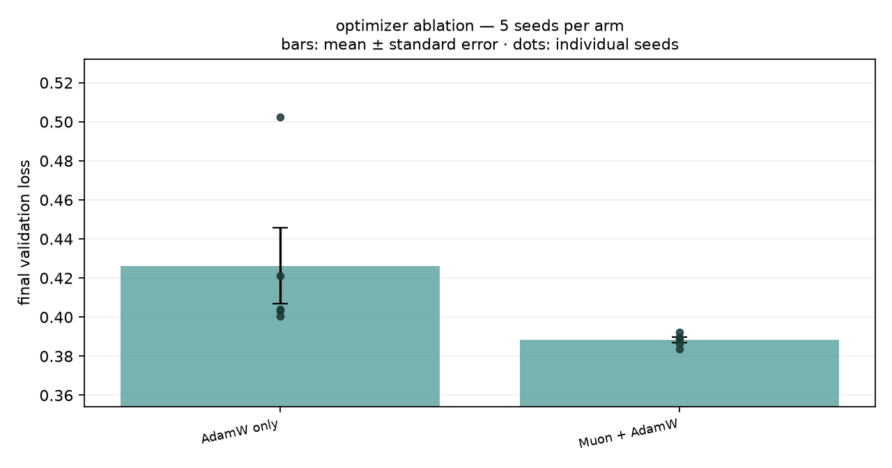 optimizer multi-seed